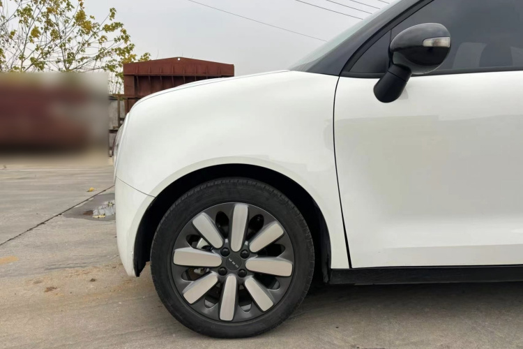 欧拉黑猫 2021款 351km 标准型车身外观6005