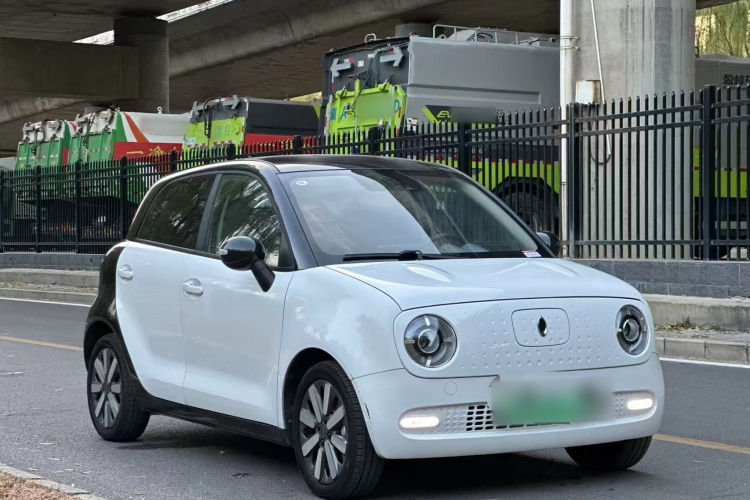 欧拉黑猫 2021款 351km 豪华型车身外观6008