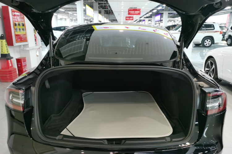 特斯拉 Model 3 2020款 改款 标准续航后驱升级版局部细节23