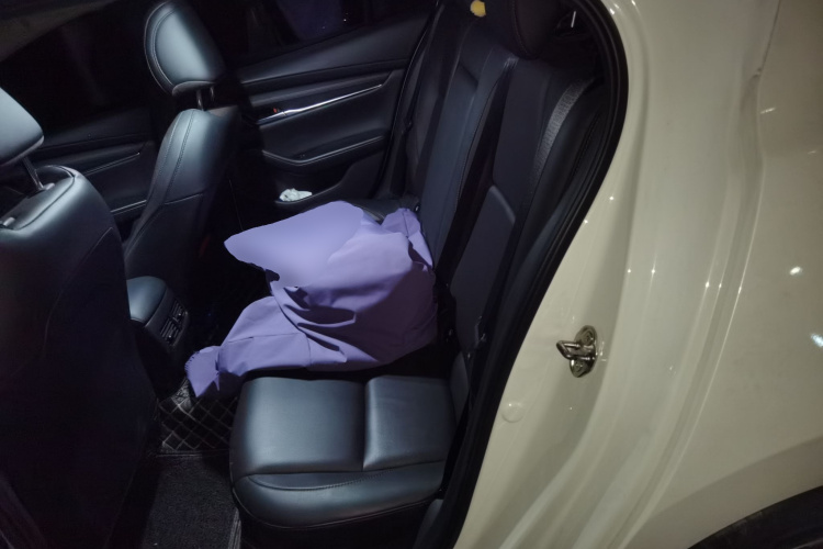 马自达3 昂克赛拉 2021款 2.0L 自动质雅版中控内饰21