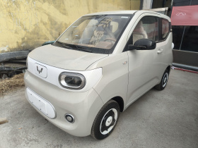 五菱汽车 宏光MINIEV 2024款 第三代 215km 青春版