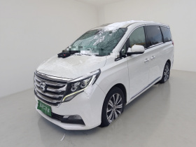 广汽传祺 传祺M8 2018款 320T 尊贵版