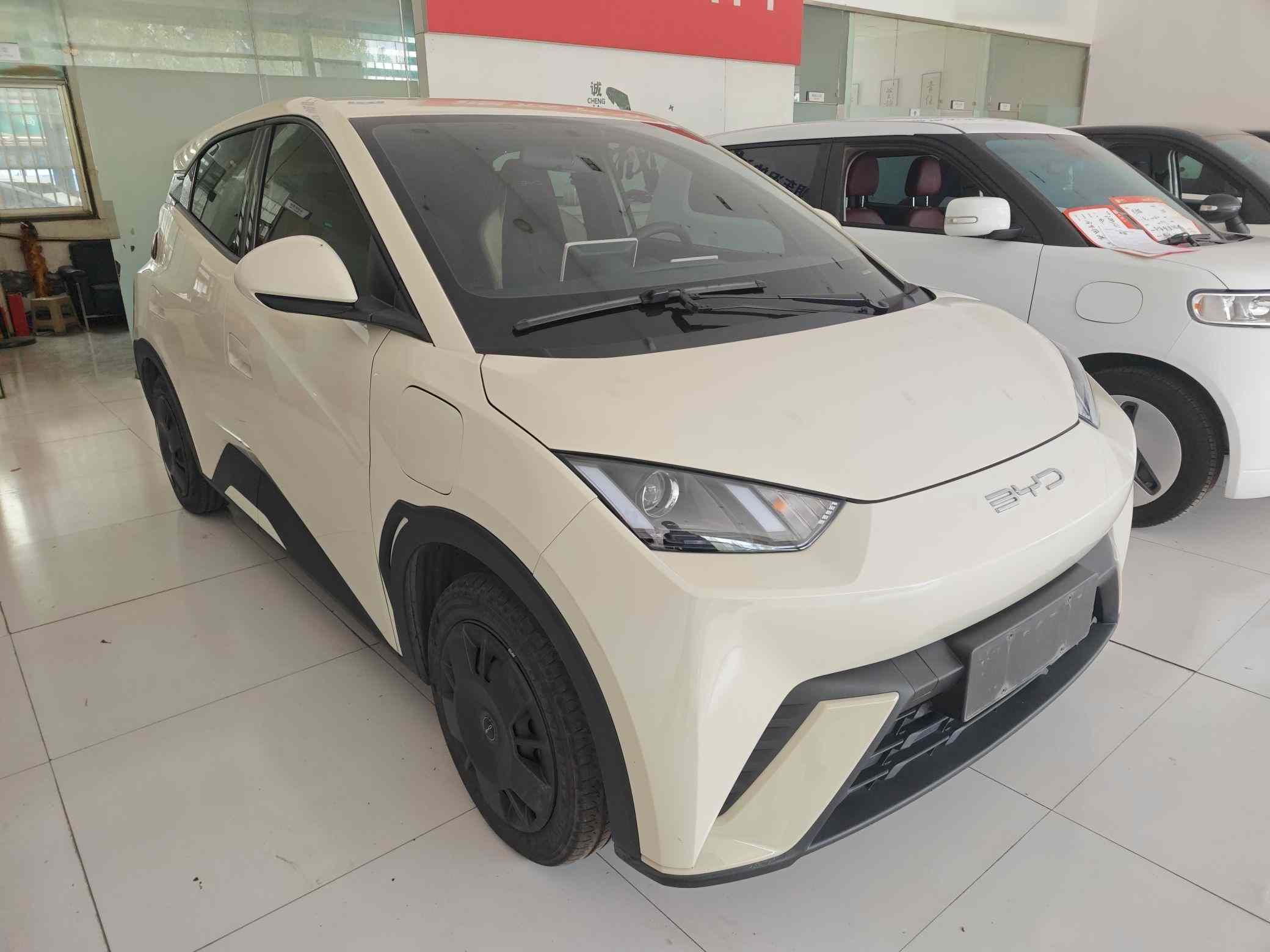 比亚迪 海鸥 2024款 荣耀版 305km 活力版(5)