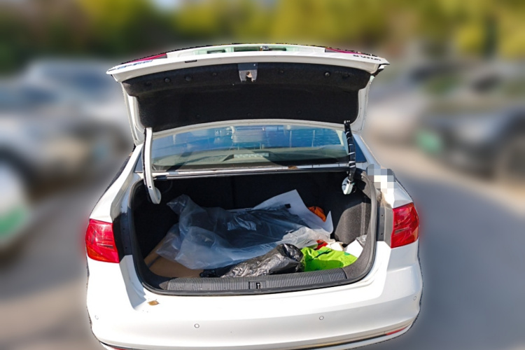 大众 宝来 2018款 1.5L 自动舒适型局部细节23