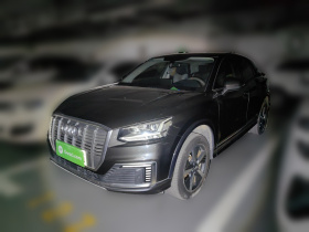 奥迪Q2L e-tron 2019款 Q2L e-tron 纯电智酷型