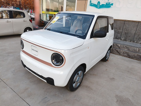 吉利银河 2024款 熊猫mini 200km 耐力熊