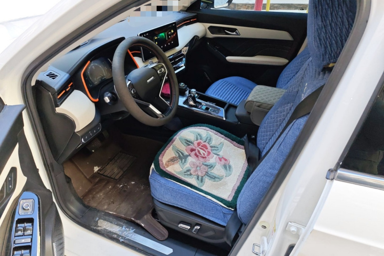 哈弗赤兔 2021款 激擎版 1.5T 铂金兔中控内饰19