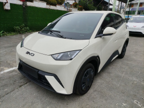 比亚迪 海鸥 2025款 305km 活力版