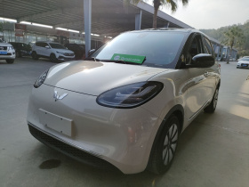 五菱汽车 五菱缤果 2023款 333km 灵犀互联+款