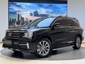 广汽传祺 传祺GS8 2020款 390T 两驱豪华智联纪念版（七座）