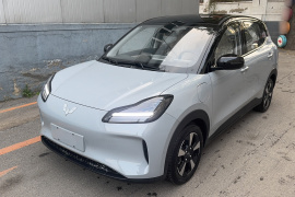 五菱汽车 五菱缤果PLUS 2024款 510km 五座版