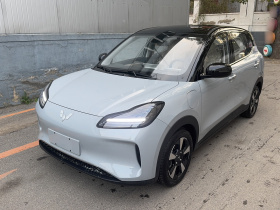 五菱汽车 五菱缤果PLUS 2024款 510km 五座版