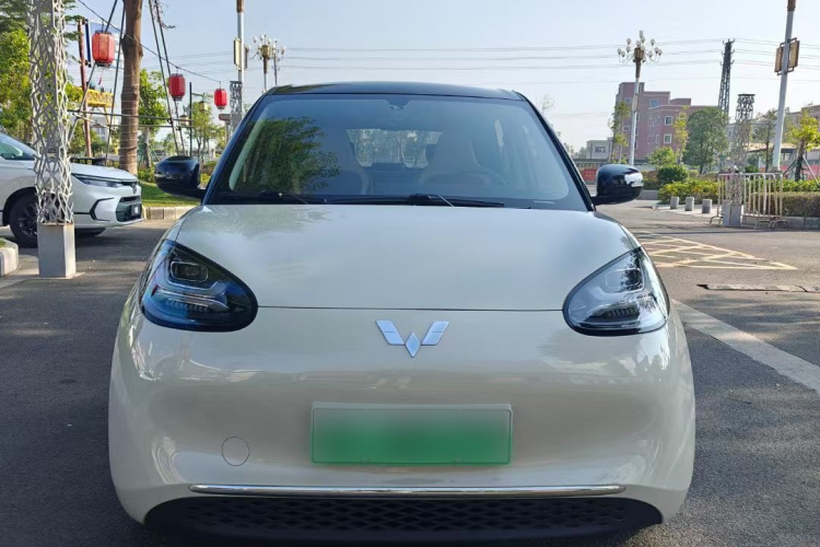 五菱汽车 五菱缤果 2024款 333km 灵犀互联款车身外观6001