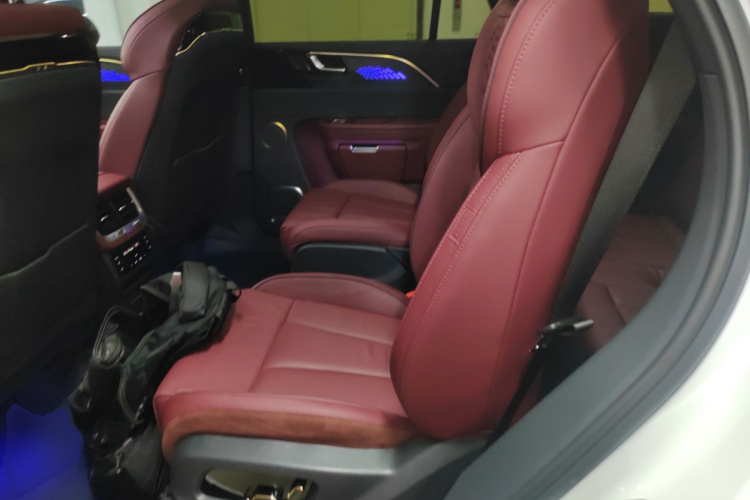 红旗E-HS9 2022款 660km 旗畅版 六座中控内饰21