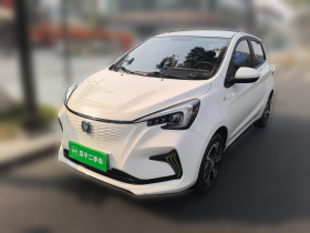 长安欧尚 奔奔E-Star 2022款 清心版 多彩款 三元锂