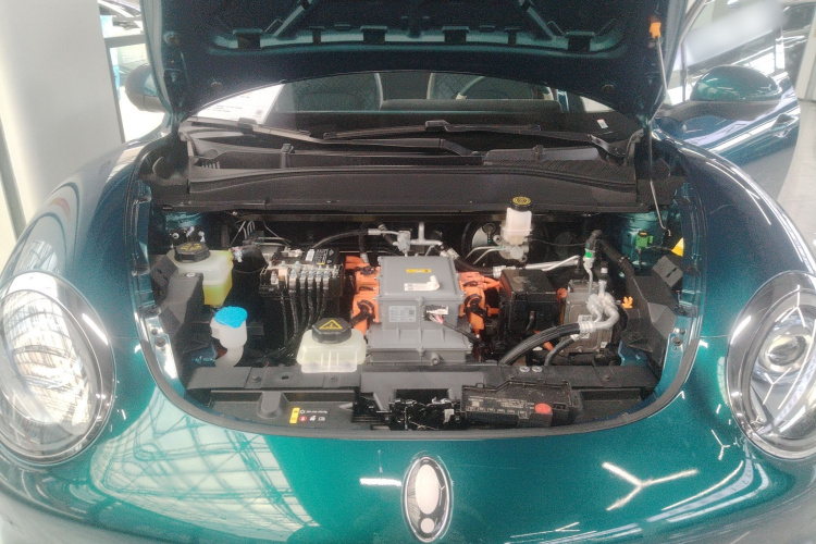 欧拉好猫 2023款 401km标准续航 豪华型 磷酸铁锂机舱底盘24