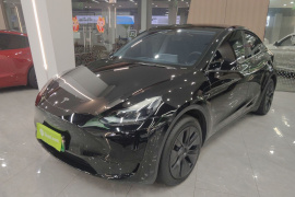 特斯拉 Model Y 2023款 后轮驱动版