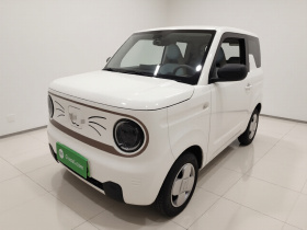 吉利银河 2023款 熊猫mini 200km 耐力熊