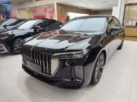 红旗H9 2024款 2.0T 旗享 私享风尚版