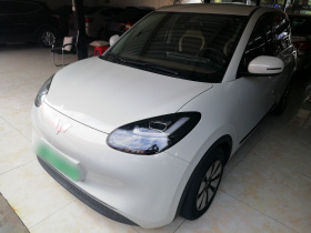 五菱汽车 五菱缤果 2023款 203km 舒享款