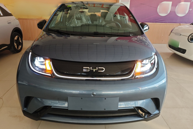 比亚迪 海豚 2025款 420km 自由版车身外观2