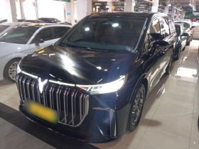 岚图汽车 岚图梦想家 2024款 PHEV 超长续航旗舰版