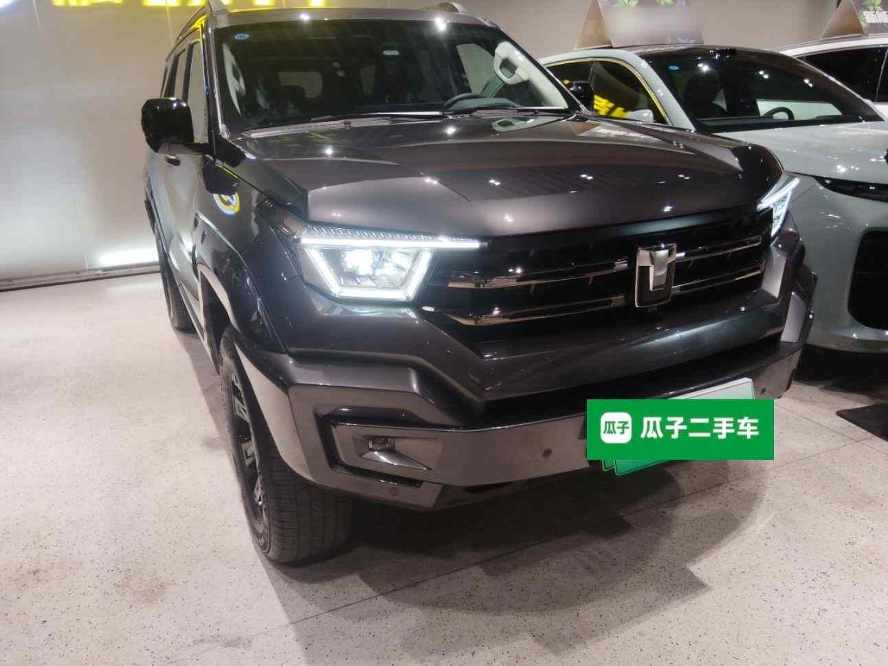 坦克400新能源 2023款 Hi4-T 超能版(5)