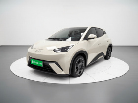 比亚迪 海鸥 2025款 305km 活力版