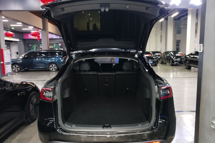 特斯拉 Model Y 2021款 标准续航后驱版局部细节23