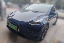 特斯拉 Model Y 2021款 长续航全轮驱动版