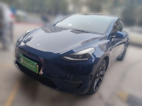 特斯拉 Model Y 2021款 长续航全轮驱动版