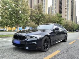 宝马5系(进口) 2020款 540i 风尚版 M运动套装