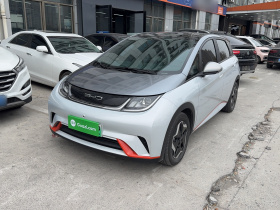 比亚迪 海豚 2021款 405km 时尚版