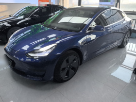 特斯拉 Model 3 2019款 标准续航后驱升级版