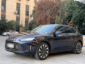 鸿蒙智行 问界M5 2022款 增程后驱标准版