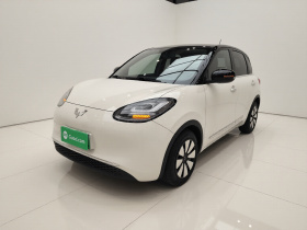 五菱汽车 五菱缤果 2023款 203km 舒享款