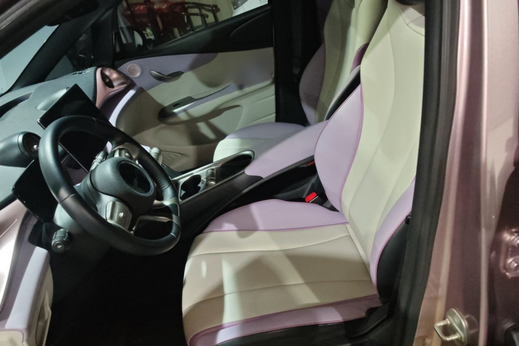 比亚迪 海豚 2021款 405km 时尚版局部细节19