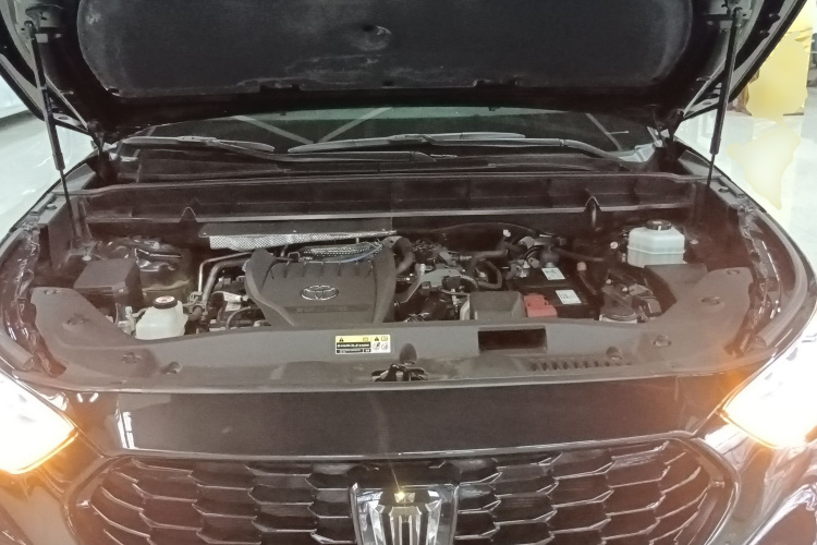 丰田 皇冠陆放 2022款 2.0T 四驱劲耀版机舱底盘24