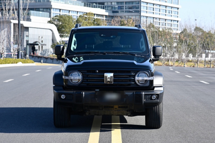 坦克300 2024款 2.0T 征服者车身外观6006