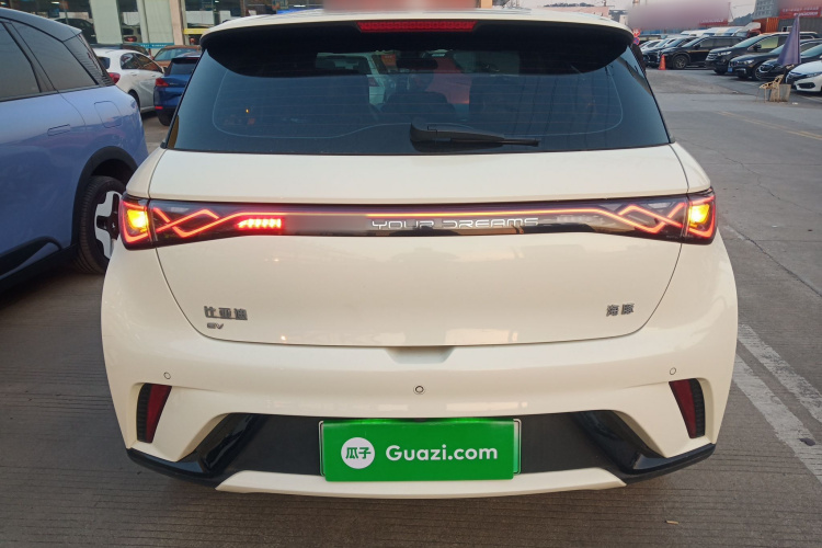 比亚迪 海豚 2024款 荣耀版 420km 自由版车身外观6