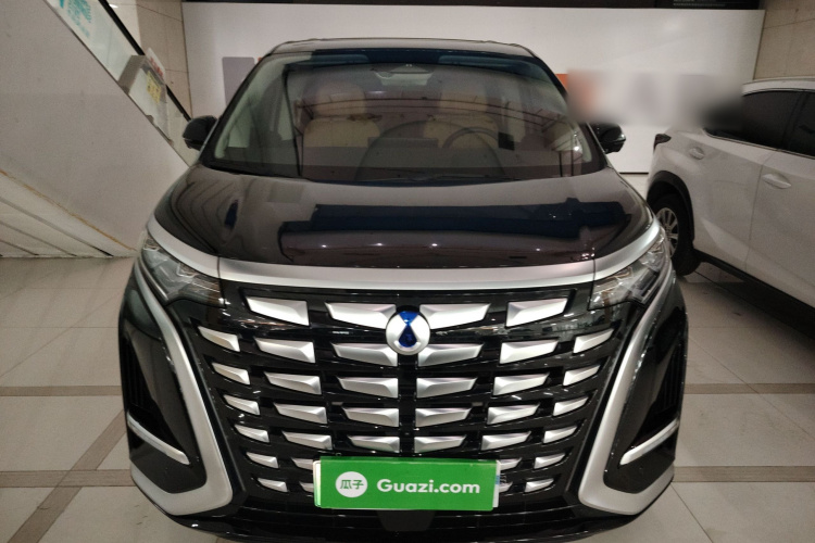 腾势D9 2024款 DM-i 980 四驱尊荣型车身外观2