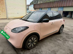 五菱汽车 五菱缤果 2023款 333km 灵犀互联+款