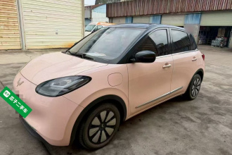 五菱汽车 五菱缤果 2023款 333km 灵犀互联+款