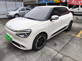 东风纳米 纳米01 2024款 430 Plus智+