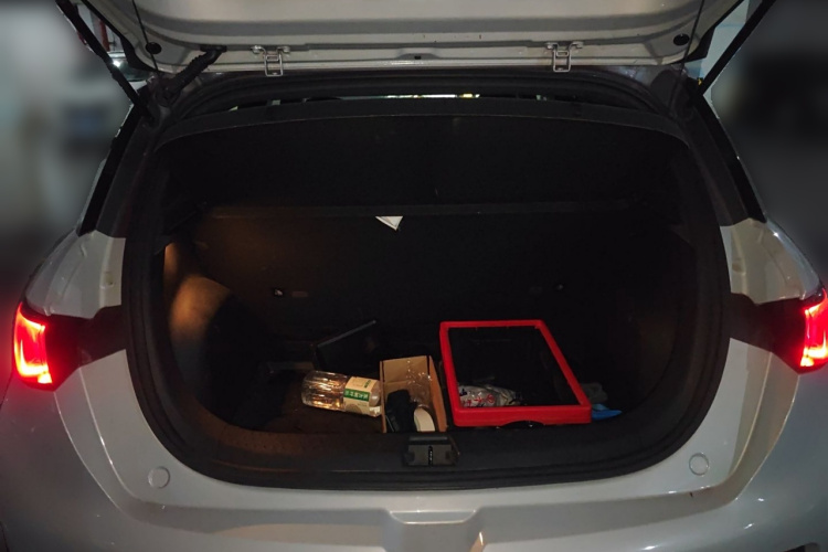 比亚迪 海豚 2021款 401km 骑士版局部细节23