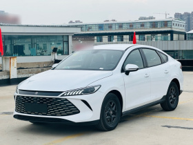 比亚迪 秦PLUS 2025款 DM-i 智驾版 55KM领先型