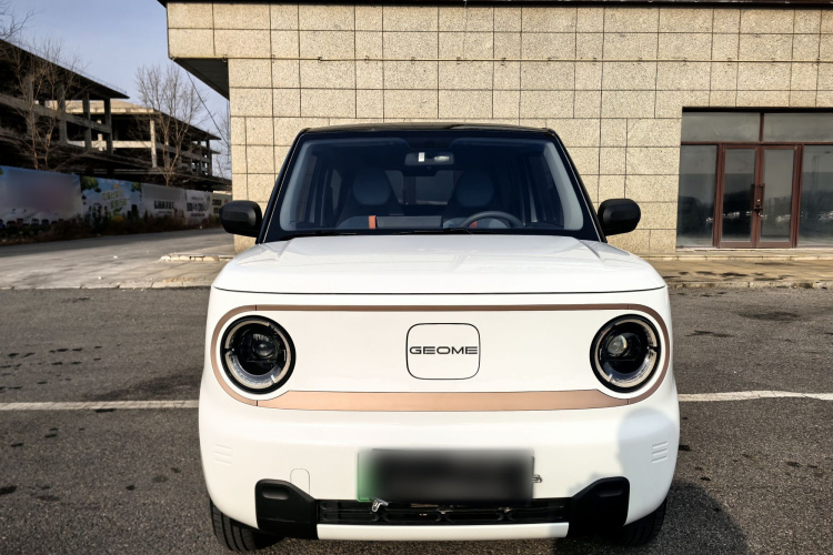 吉利银河 2024款 熊猫mini 200km 耐力熊车身外观6008