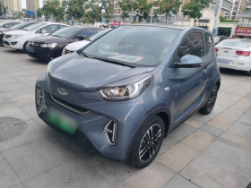 奇瑞新能源 小蚂蚁 2024款 251km 真爱版