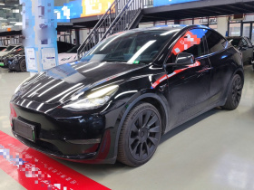 特斯拉 Model Y 2021款 标准续航后驱版