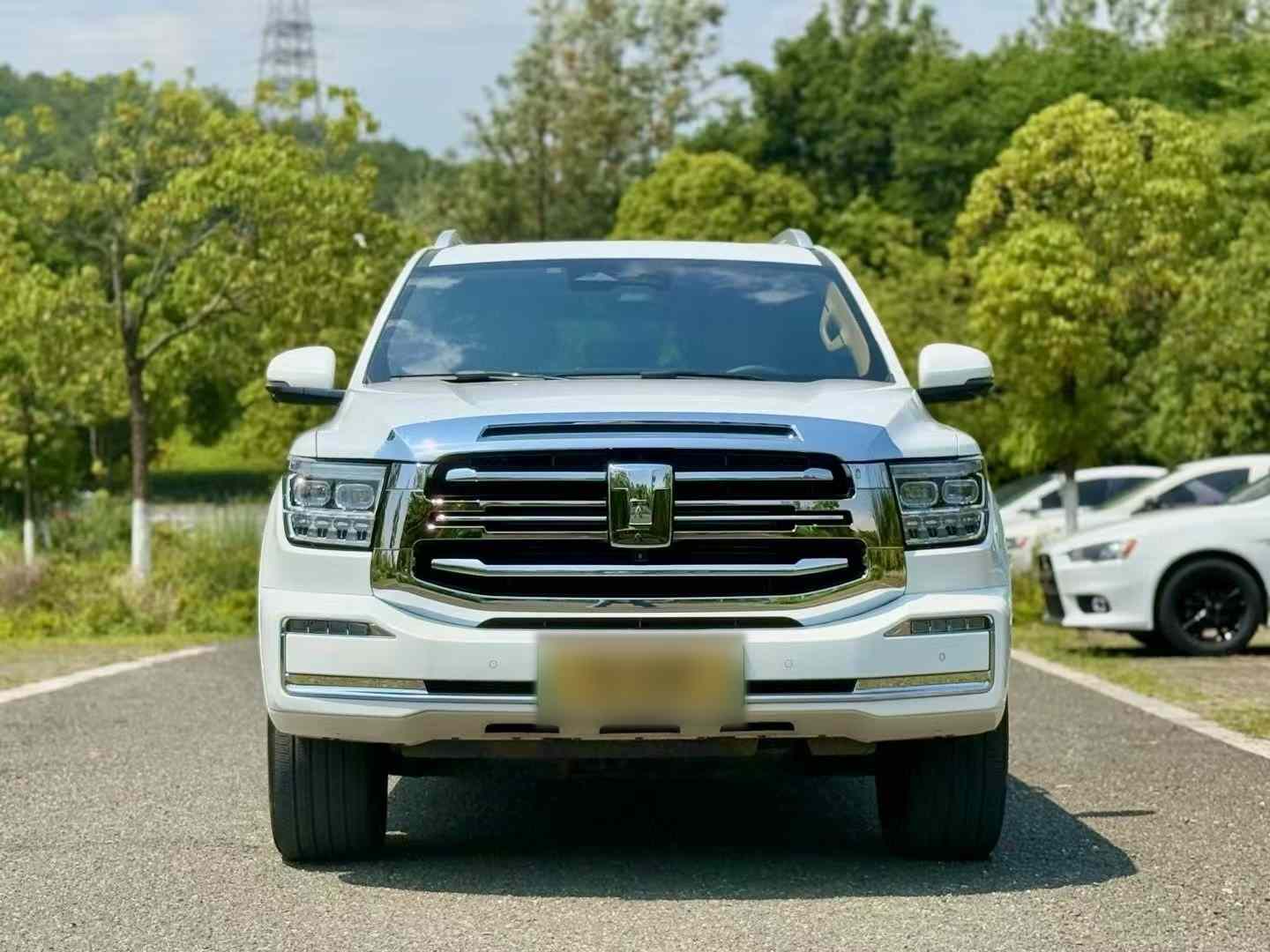 坦克500新能源 2023款 Hi4-T(2)